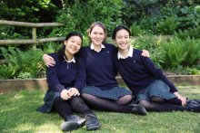 GCSE Success for Sherborne Girls
